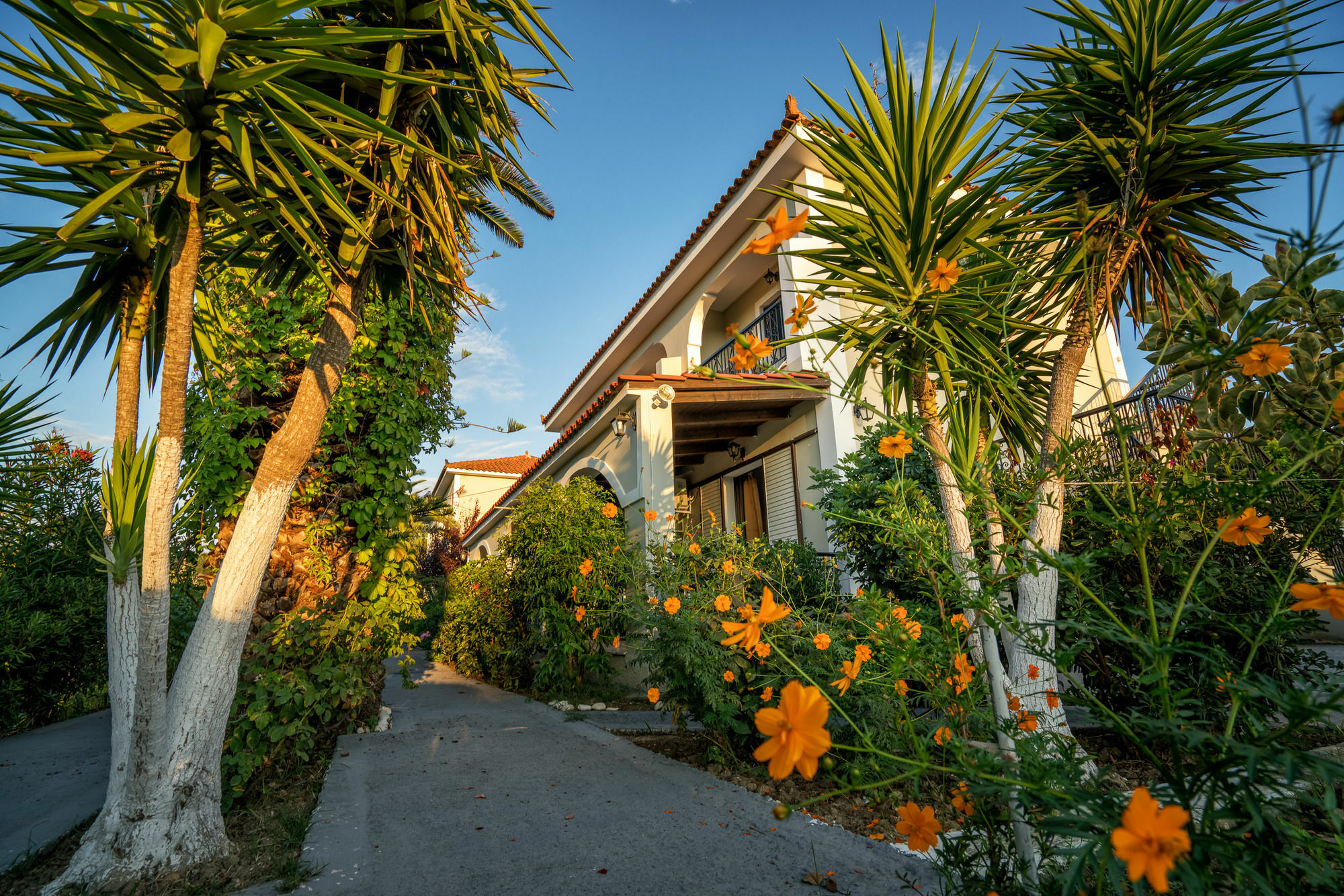 Tota Studios Tsilivi  Exterior foto