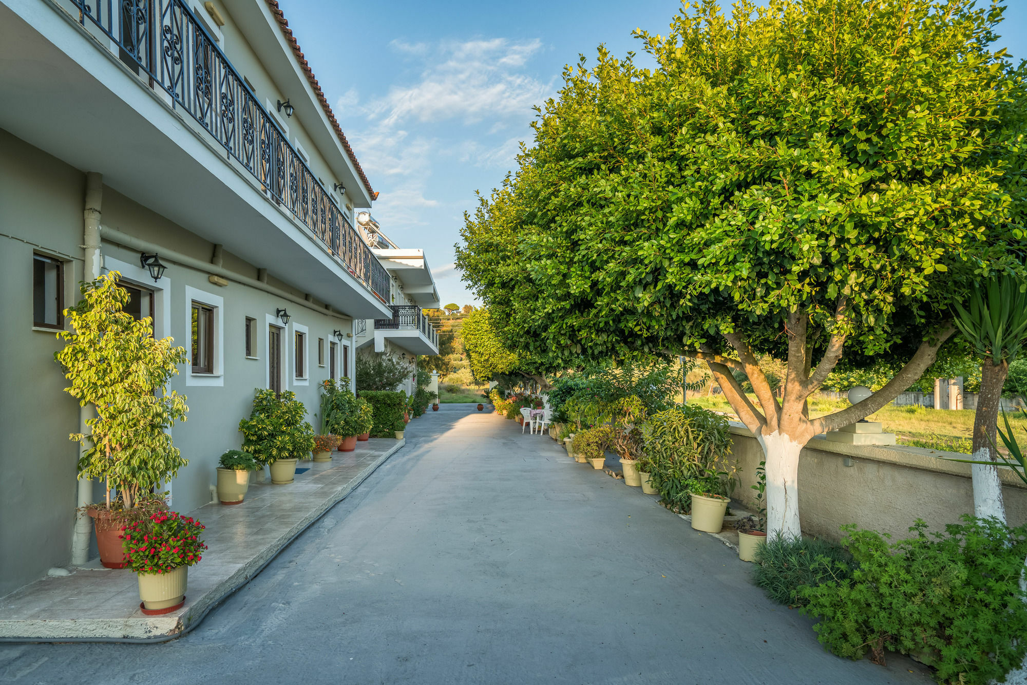Tota Studios Tsilivi  Exterior foto